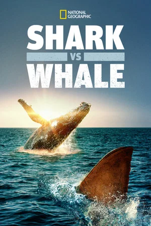 Постер: Shark Vs. Whale