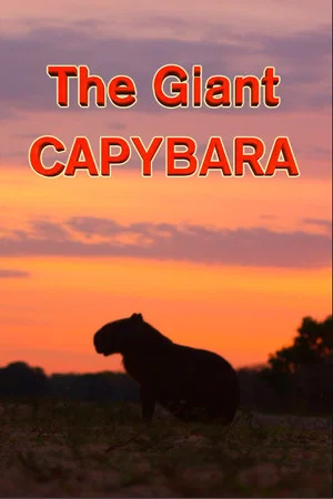 Постер: The Giant Capybara