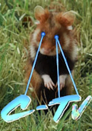 Постер: C-TV (Wenn ich Dir sage, ich habe Dich gern ...)