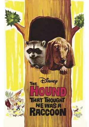 Постер: The Hound That Thought He Was a Raccoon