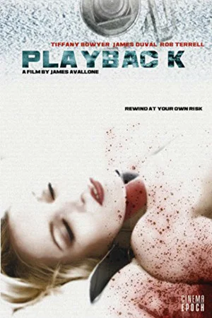 Постер: Playback
