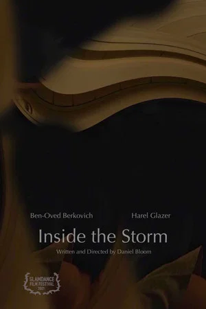 Постер: Inside the Storm
