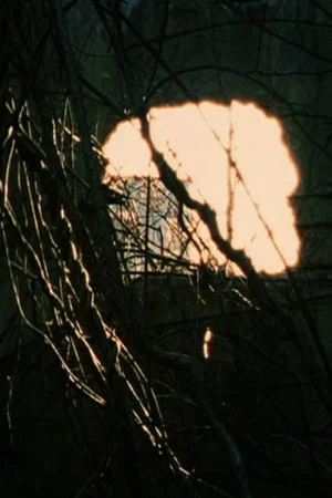 Постер: All That Remains
