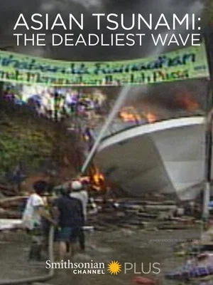 Постер: Asian Tsunami: The Deadliest Wave