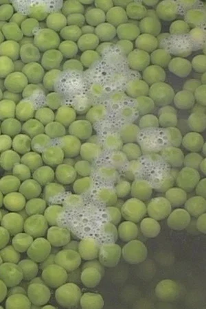 Постер: Peas