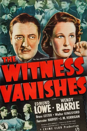 Постер: The Witness Vanishes