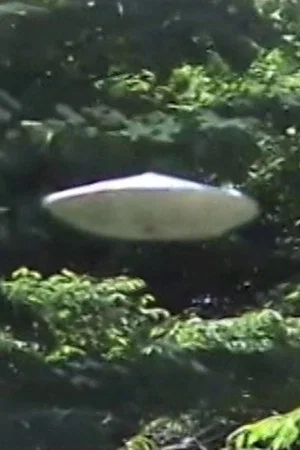Постер: Buchou to UFO-gokko