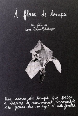 Постер: À fleur de temps