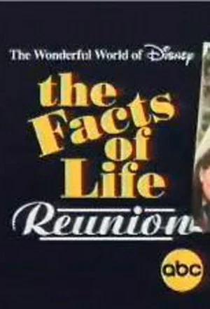 Постер: The Facts of Life Reunion