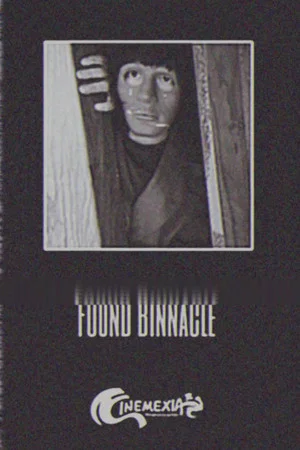Постер: Found Binnacle