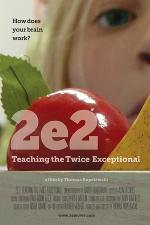 Постер: 2e2: Teaching the Twice Exceptional