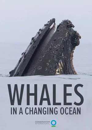 Постер: Whales in a Changing Ocean