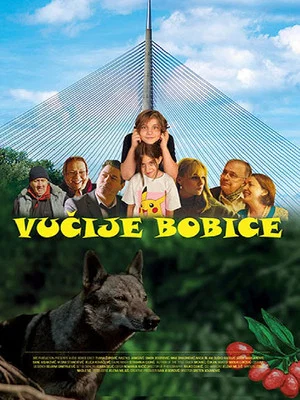 Постер: Wolfberries