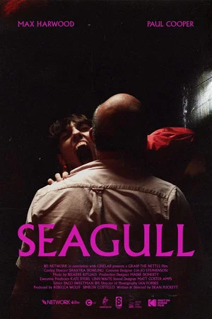 Постер: Seagull