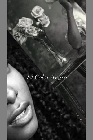 Постер: El Color Negro