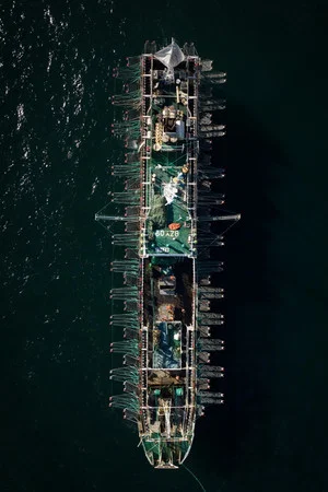 Постер: Squid Fleet