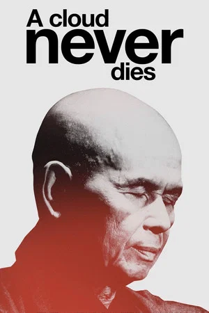 Постер: A Cloud Never Dies