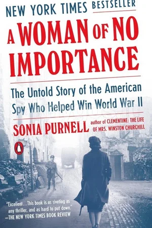 Постер: A Woman of No Importance