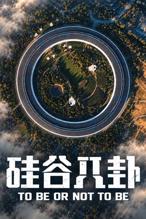 Постер: 硅谷八卦
