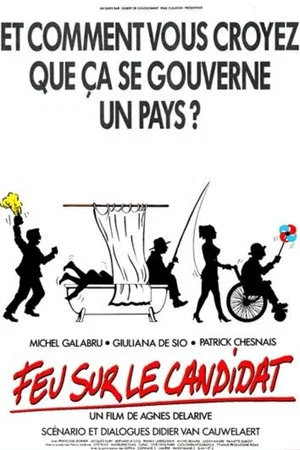 Постер: Feu sur le candidat