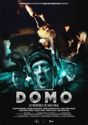 Постер: Domo