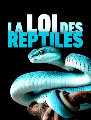 Постер: The Law of Reptiles