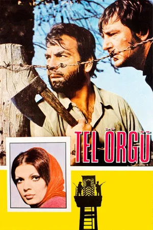 Постер: Tel Örgü