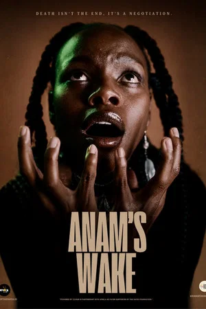 Постер: Anam's Wake