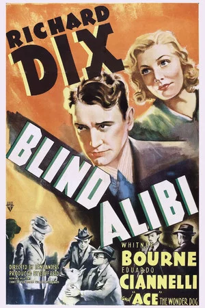 Постер: Blind Alibi