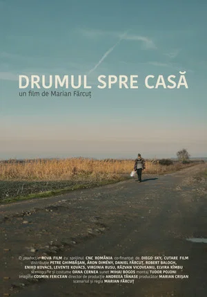 Постер: The Road Home