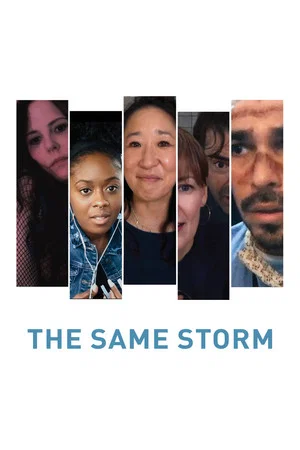 Постер: The Same Storm