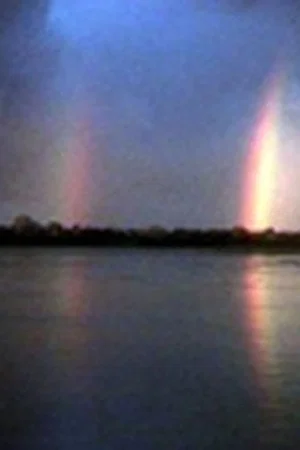 Постер: Sierra y Selva, arte chamánico en Perú
