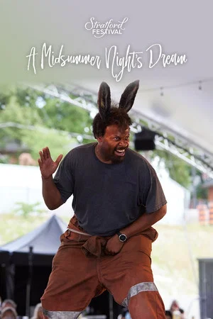 Постер: A Midsummer Night's Dream