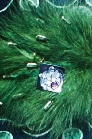 Постер: Feather-Arrangement