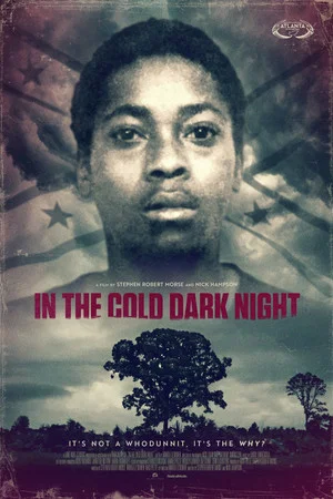 Постер: In The Cold Dark Night