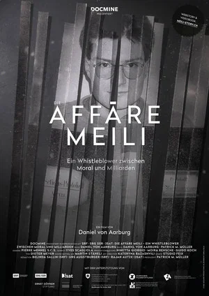 Постер: Die Affäre Meili