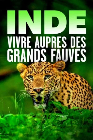 Постер: Inde - Vivre auprès des grands fauves