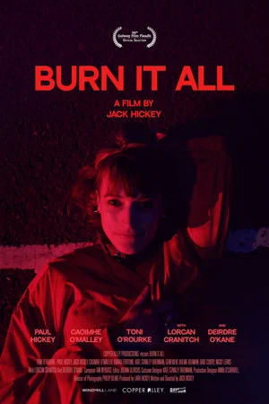 Постер: Burn It All