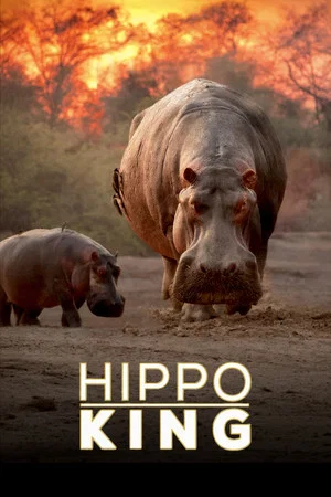 Постер: Hippo King