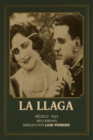 Постер: La llaga