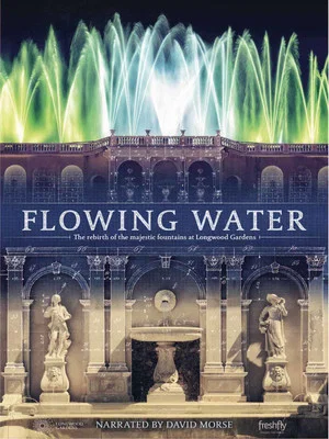 Постер: Flowing Water