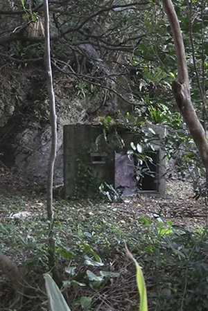 Постер: Singing in the Dark: Erasing the Disabled of Okinawa