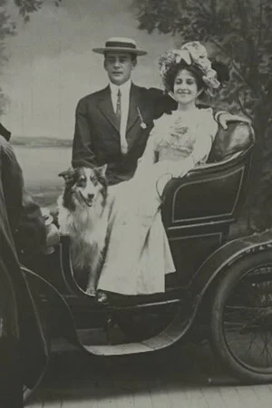 Постер: A Tin-Type Romance