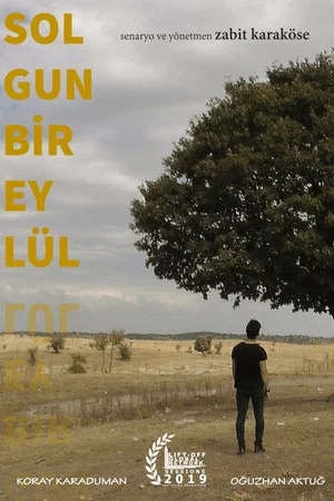 Постер: Solgun Bir Eylül
