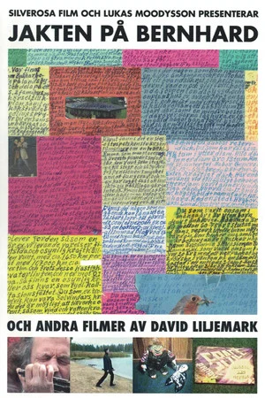Постер: The Search for Bernhard