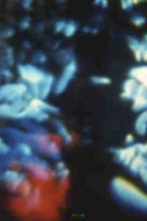 Постер: Song 16