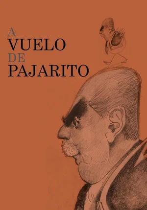 Постер: A vuelo de pajarito