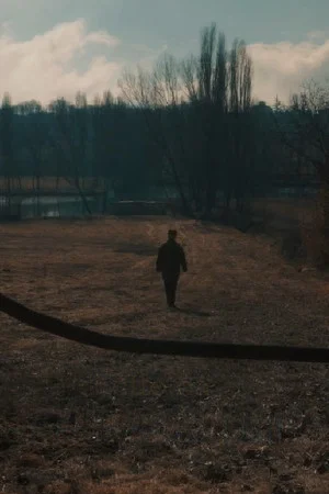 Постер: me/portray/you (Franco Piavoli)