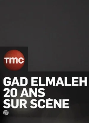 Постер: Gad Elmaleh: 20 Ans sur Scène