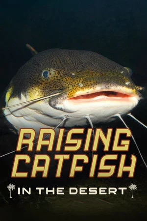 Постер: Raising Catfish in the Desert